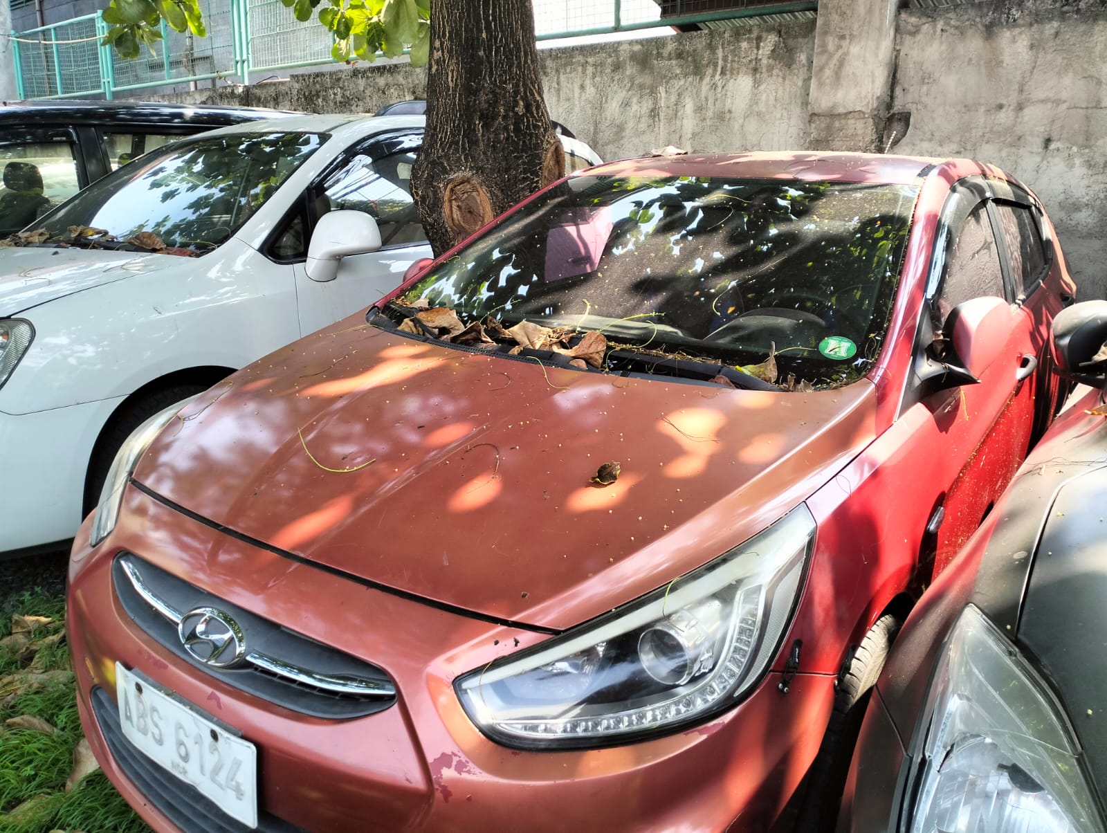 2015 Hyundai Accent photo 4