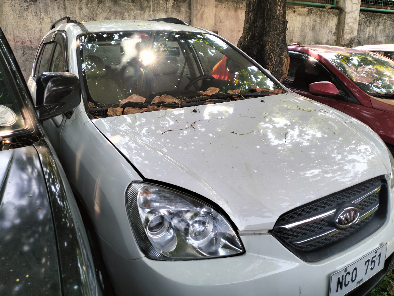 2009 Kia Carens photo 3