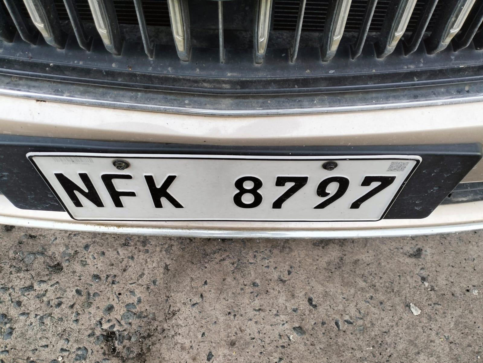 2021 Geely Emgrand photo 2